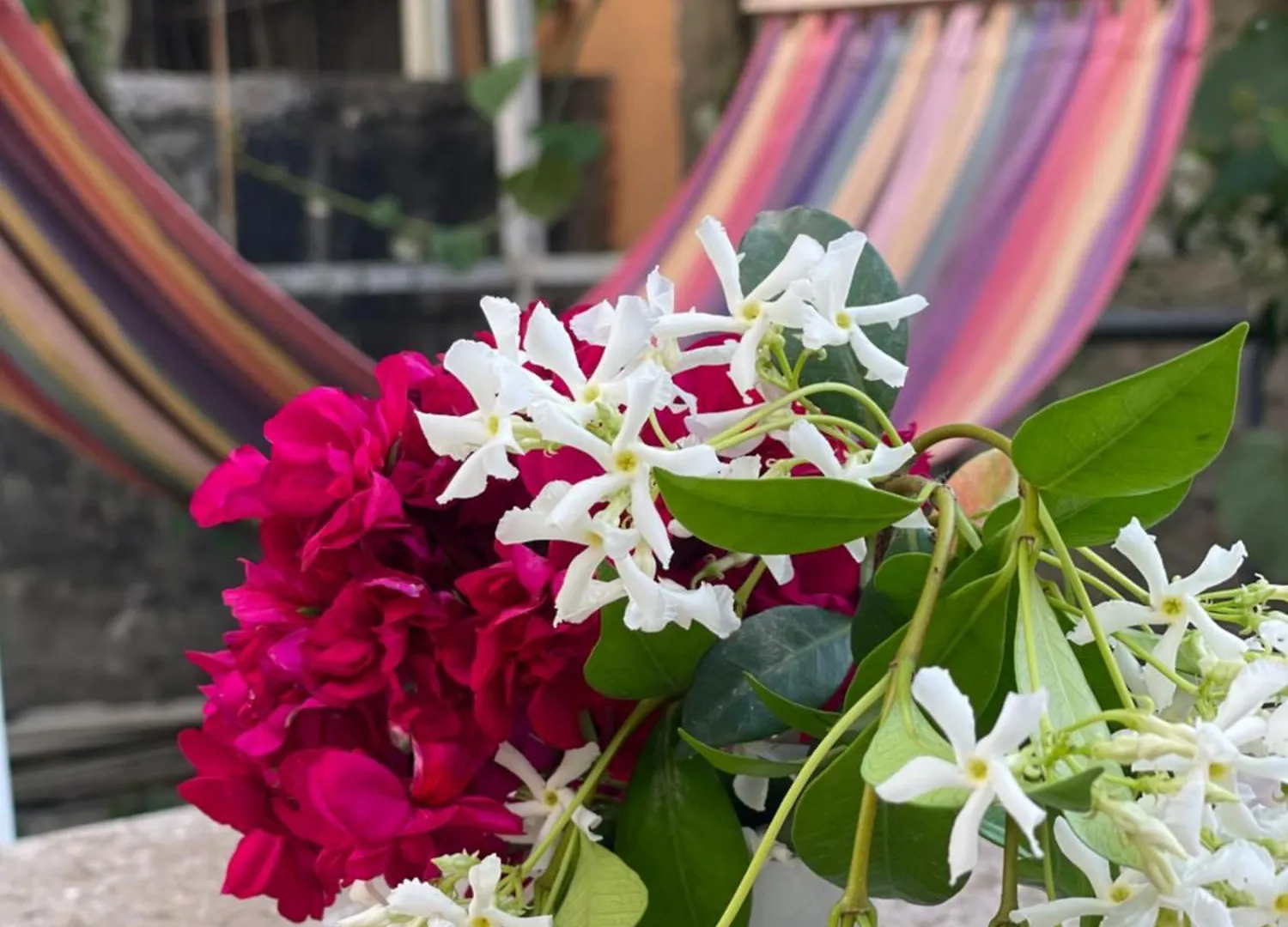Vila Nela Shkoder Hotel