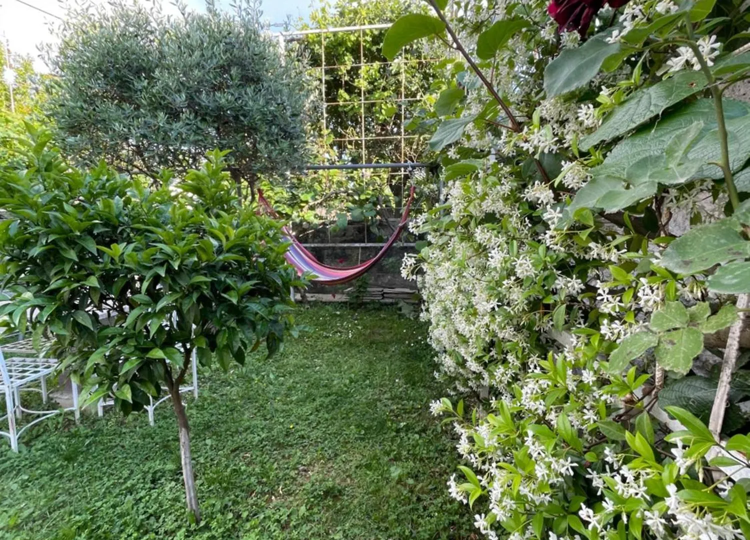 Hotel Vila Nela Shkoder