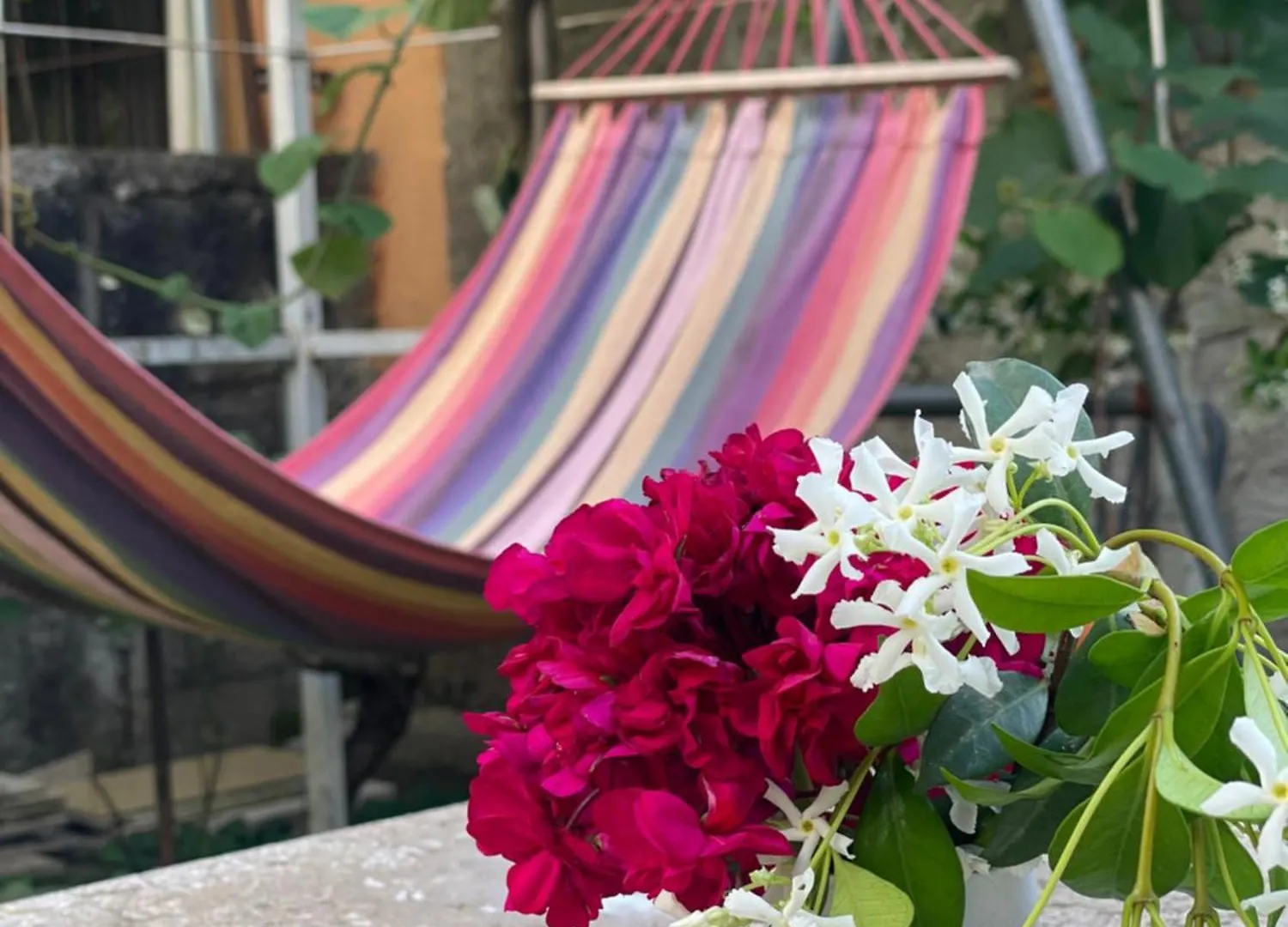 Vila Nela Shkoder Albania