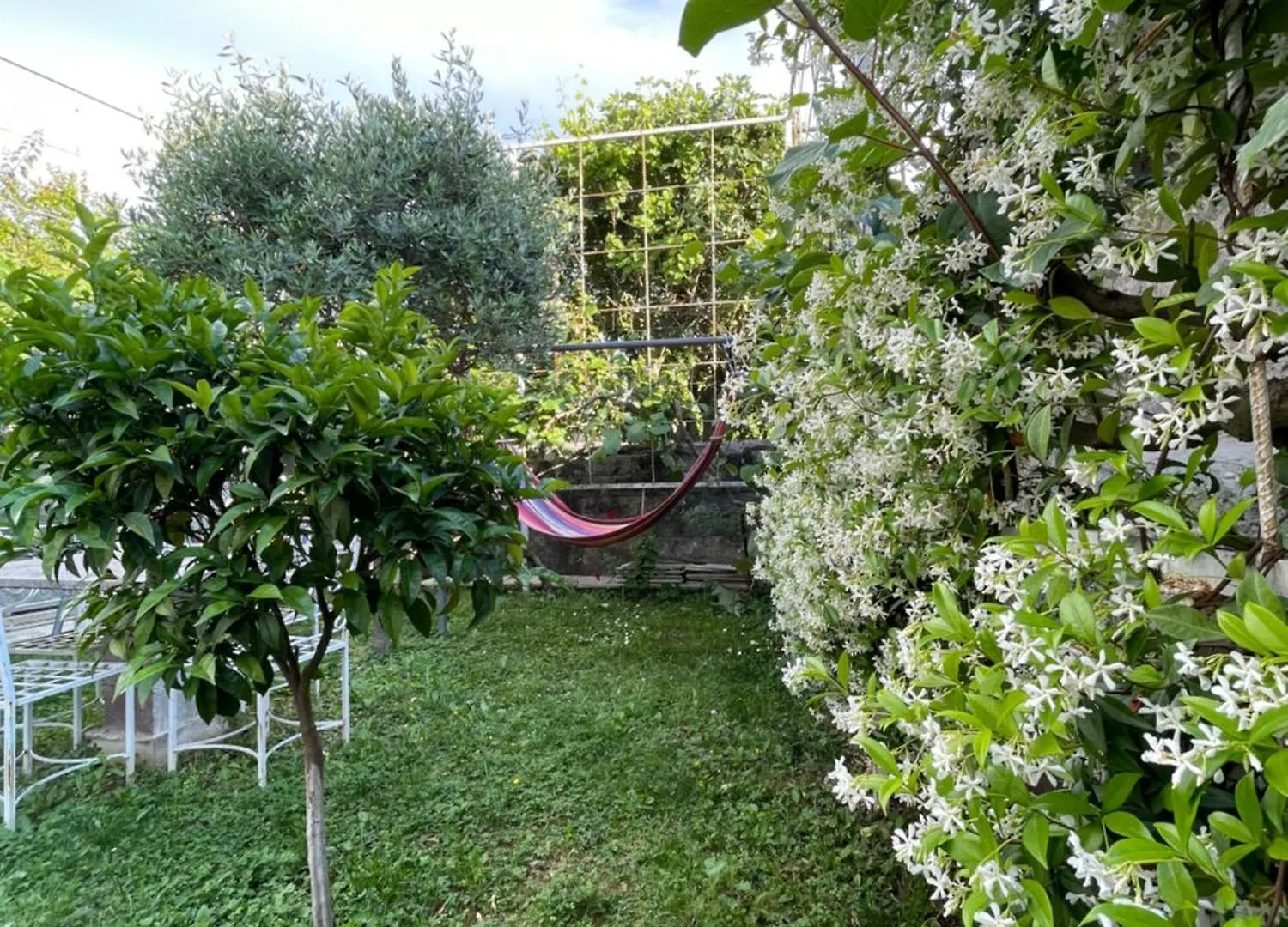 Vila Nela Shkoder Hotel