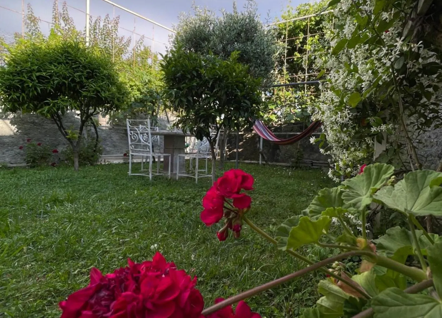 Vila Nela Shkoder Albania